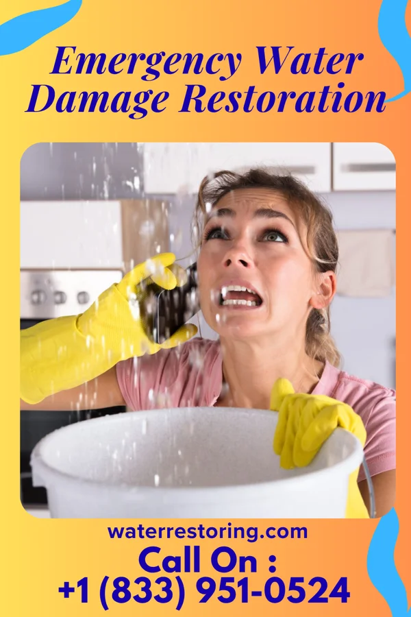 Emergency Water Damage Restoration in Wesley, IA