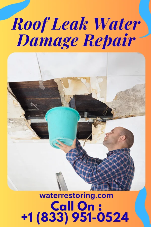 Roof Leak Water Damage Repair in Wesley, IA