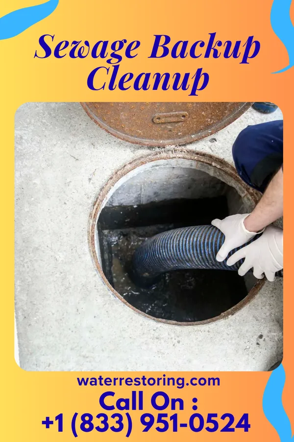 Sewage Backup Cleanup in Wesley, IA