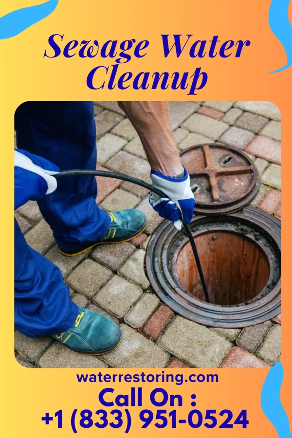 Sewage Water Cleanup in Wesley, IA