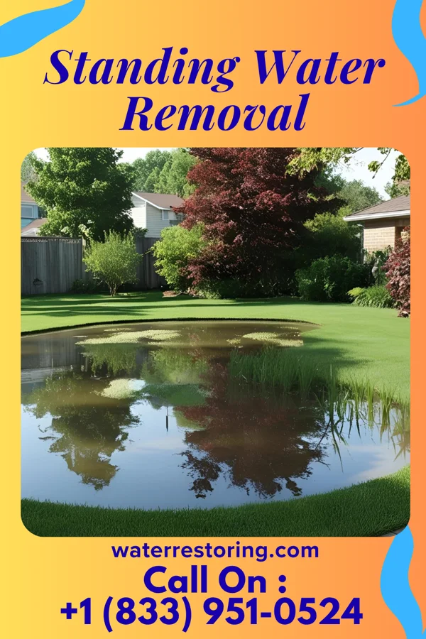 Standing Water Removal in Wesley, IA
